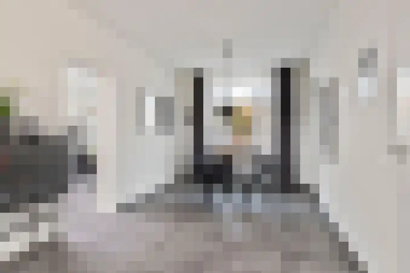 Schout van der Voortstraat 4 Panningen thumbnail 11