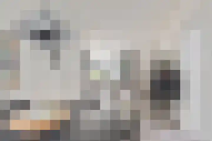 Schout van der Voortstraat 4 Panningen thumbnail 12