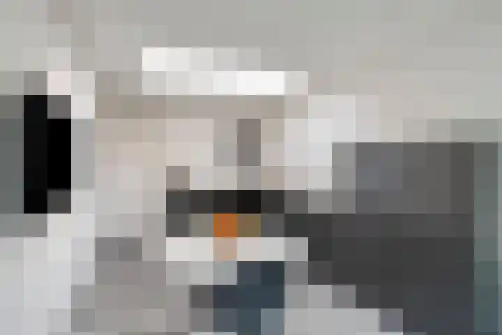 Schout van der Voortstraat 4 Panningen thumbnail 16