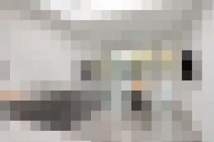 Schout van der Voortstraat 4 Panningen thumbnail 17
