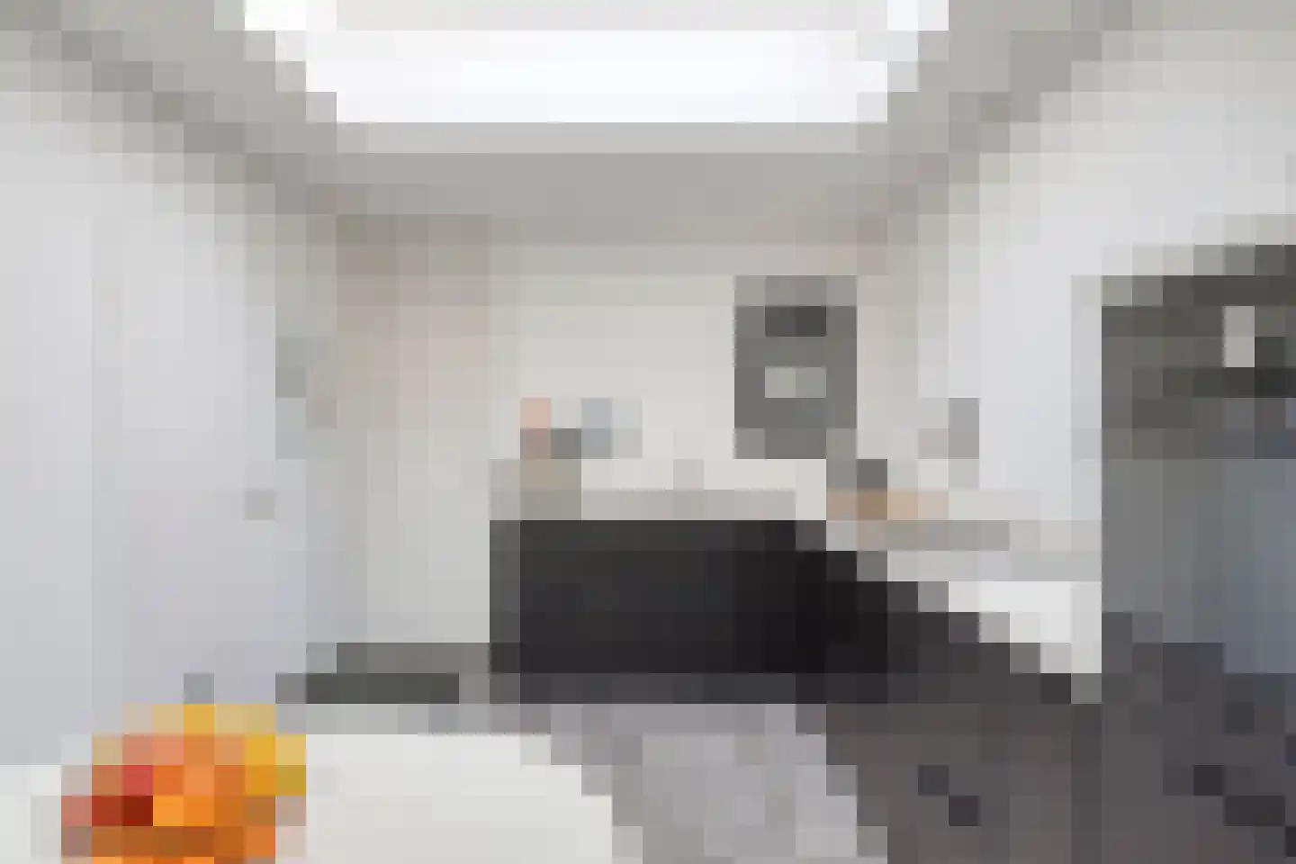 Schout van der Voortstraat 4 Panningen thumbnail 18