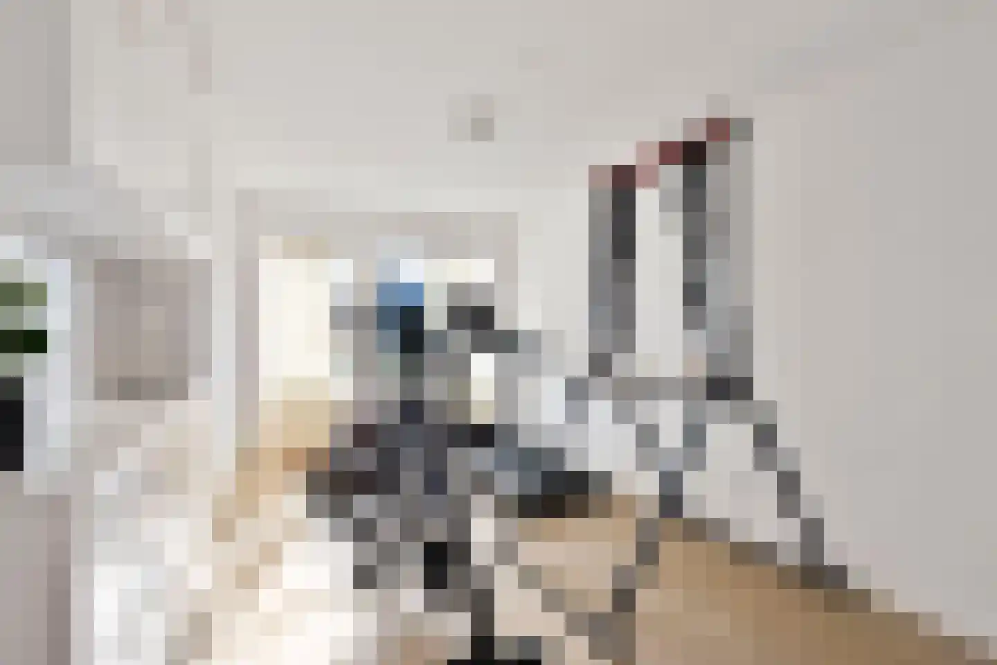 Schout van der Voortstraat 4 Panningen thumbnail 20