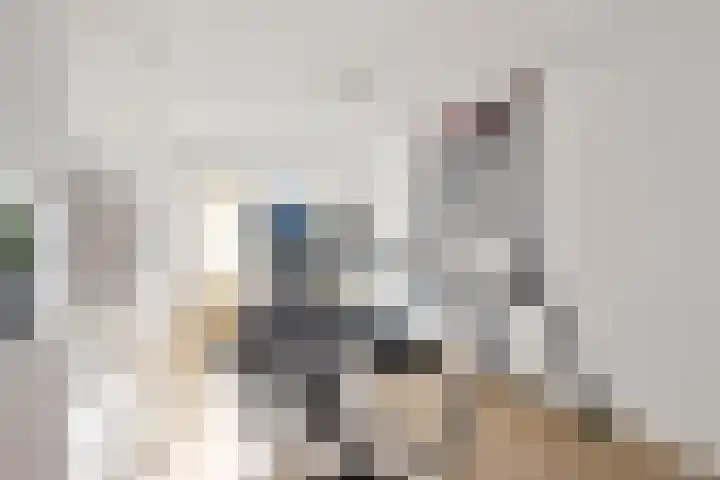 Schout van der Voortstraat 4 Panningen thumbnail 20
