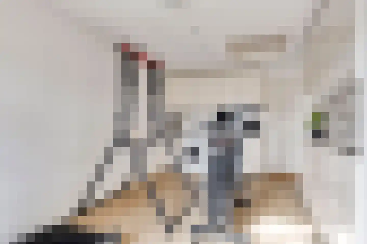 Schout van der Voortstraat 4 Panningen thumbnail 21