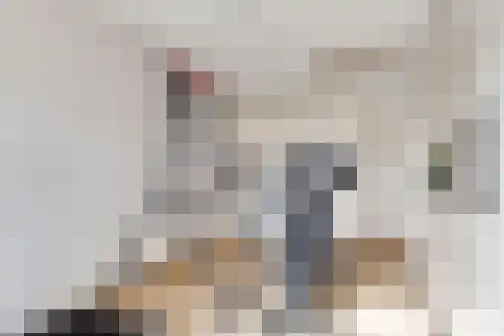 Schout van der Voortstraat 4 Panningen thumbnail 21