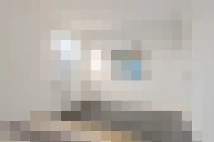 Schout van der Voortstraat 4 Panningen thumbnail 24