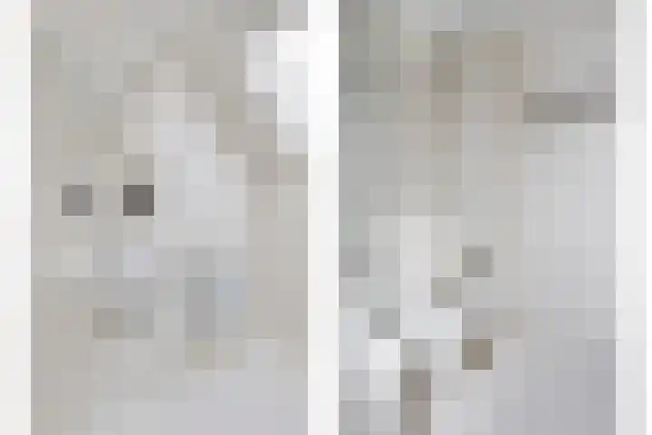 Schout van der Voortstraat 4 Panningen thumbnail 26