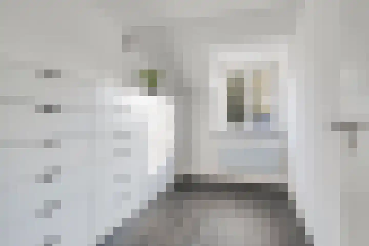 Schout van der Voortstraat 4 Panningen thumbnail 29