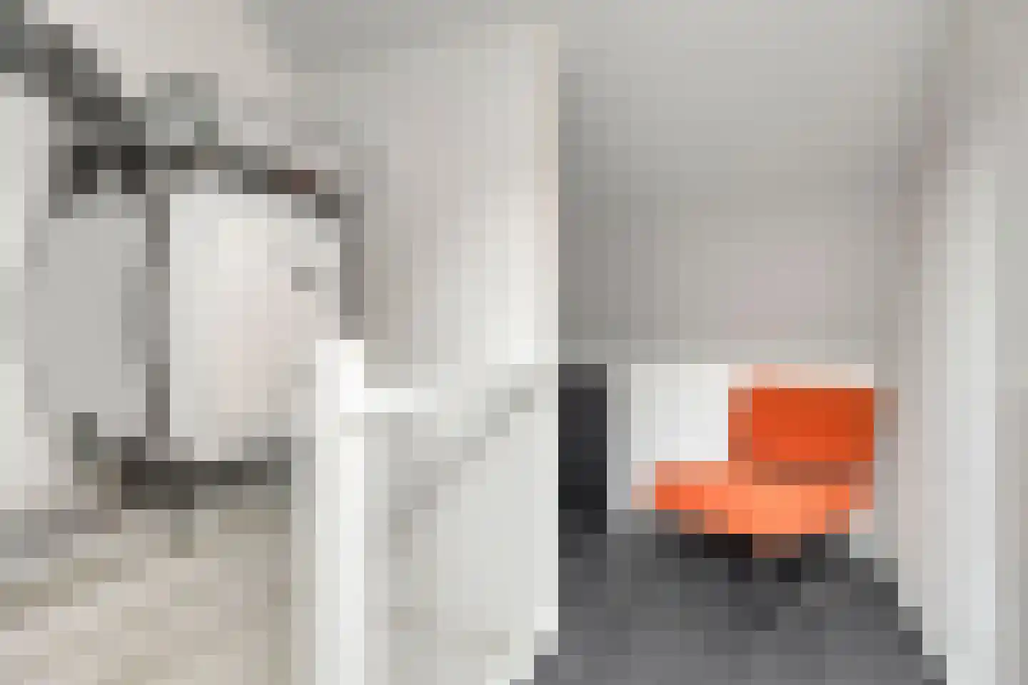 Schout van der Voortstraat 4 Panningen thumbnail 30
