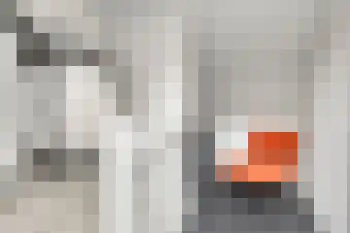 Schout van der Voortstraat 4 Panningen thumbnail 30