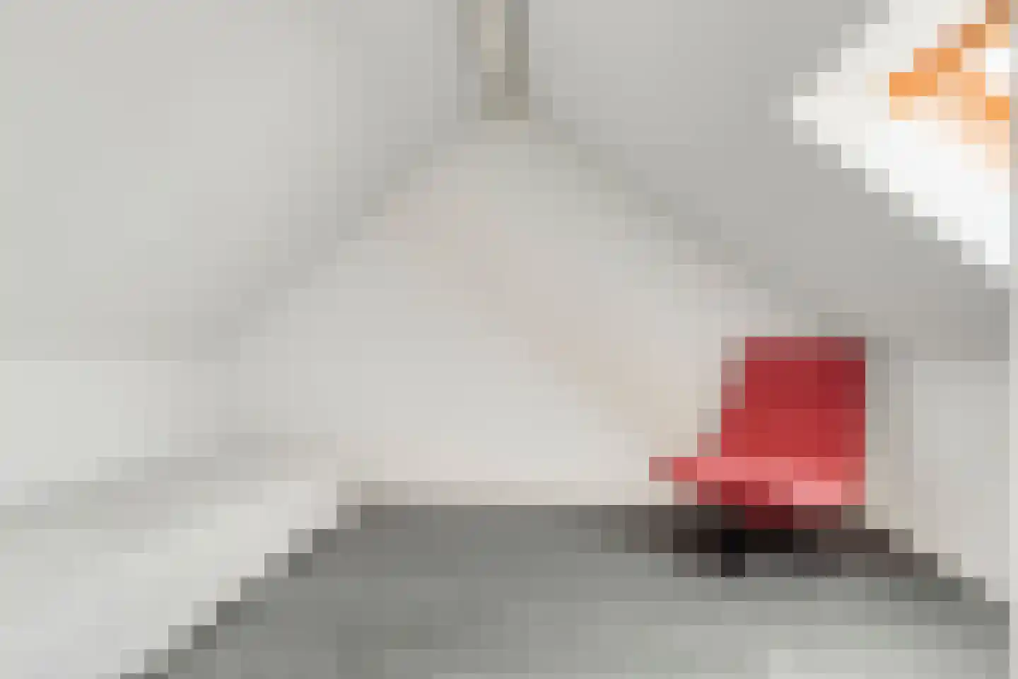 Schout van der Voortstraat 4 Panningen thumbnail 32