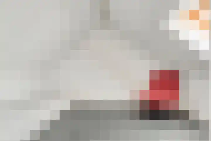 Schout van der Voortstraat 4 Panningen thumbnail 32