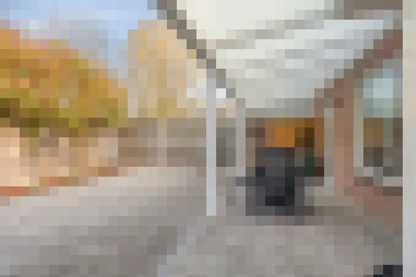 Schout van der Voortstraat 4 Panningen thumbnail 35