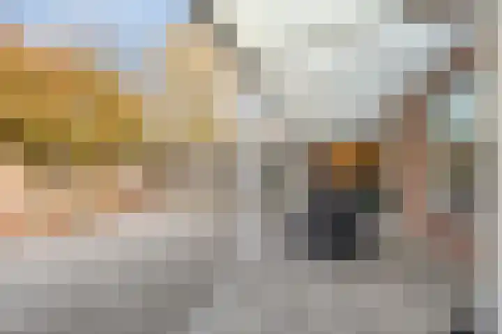 Schout van der Voortstraat 4 Panningen thumbnail 35