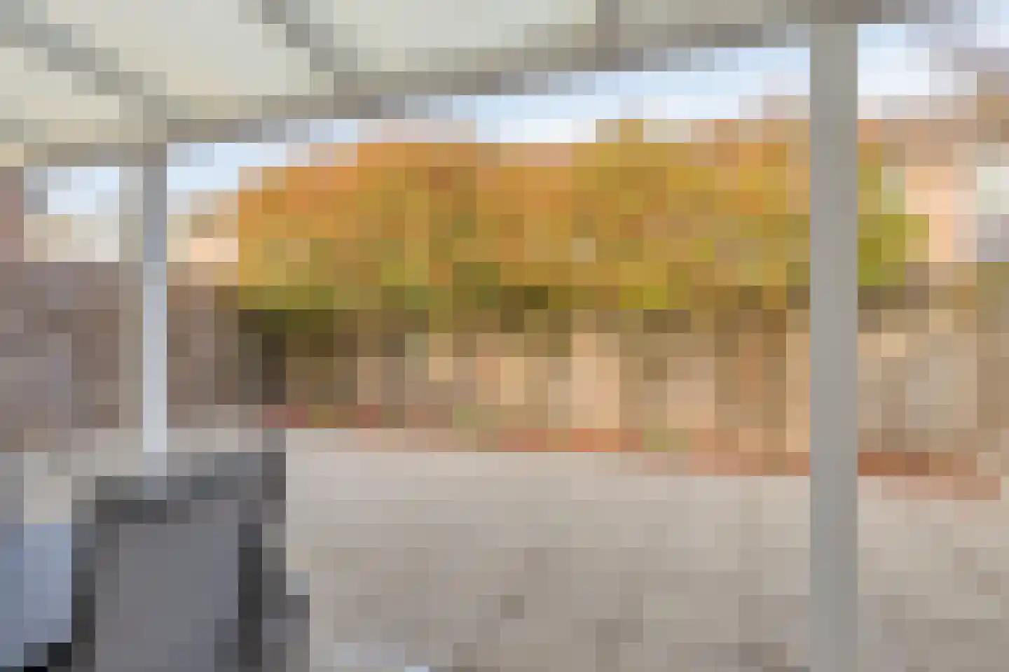 Schout van der Voortstraat 4 Panningen thumbnail 36