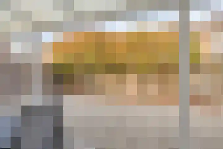 Schout van der Voortstraat 4 Panningen thumbnail 36