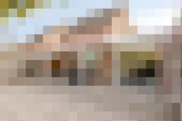 Schout van der Voortstraat 4 Panningen thumbnail 38