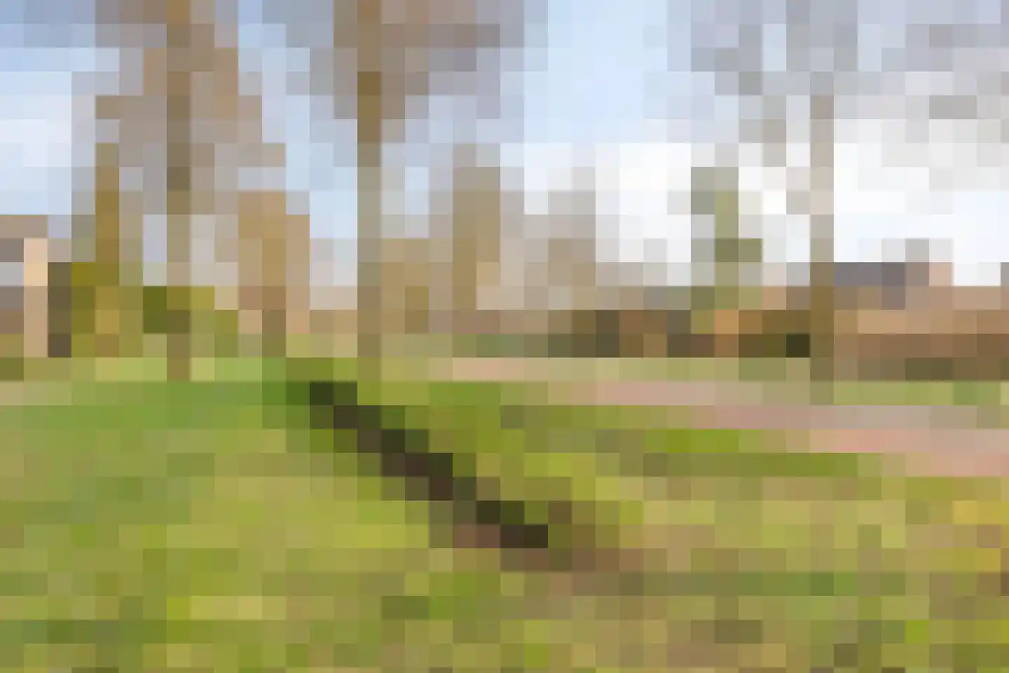 Schout van der Voortstraat 4 Panningen thumbnail 41