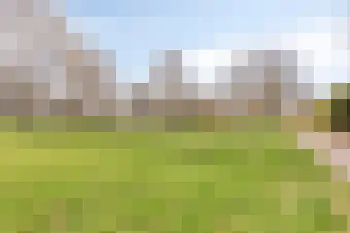 Schout van der Voortstraat 4 Panningen thumbnail 42