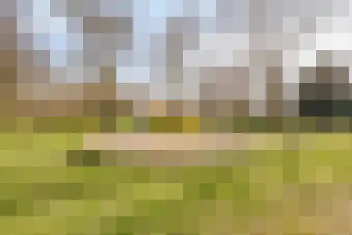 Schout van der Voortstraat 4 Panningen thumbnail 43