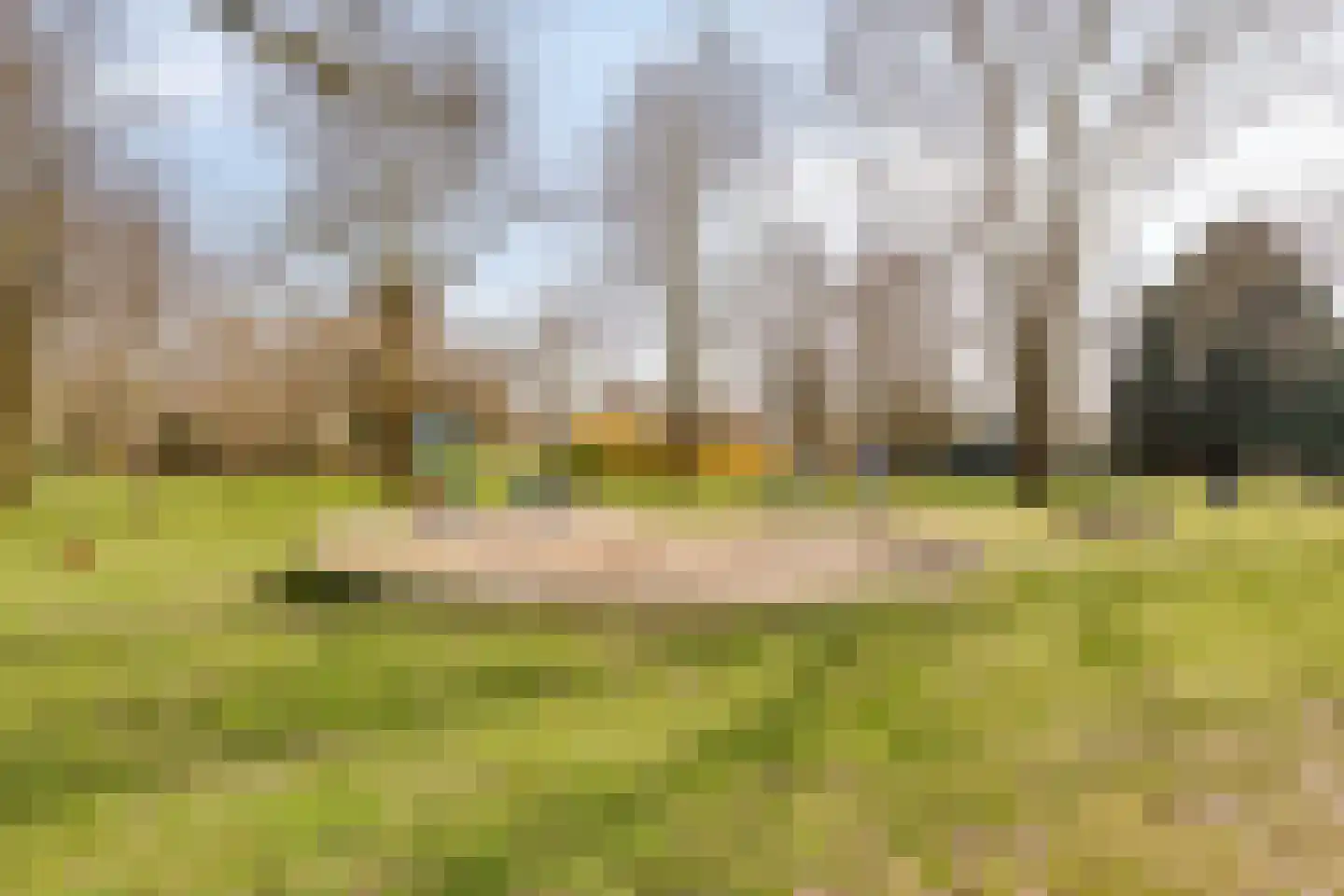 Schout van der Voortstraat 4 Panningen thumbnail 43