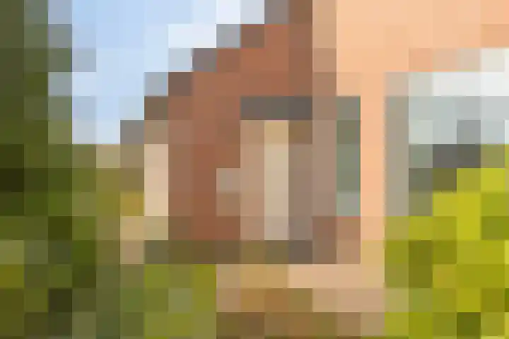 Schout van der Voortstraat 4 Panningen thumbnail 5