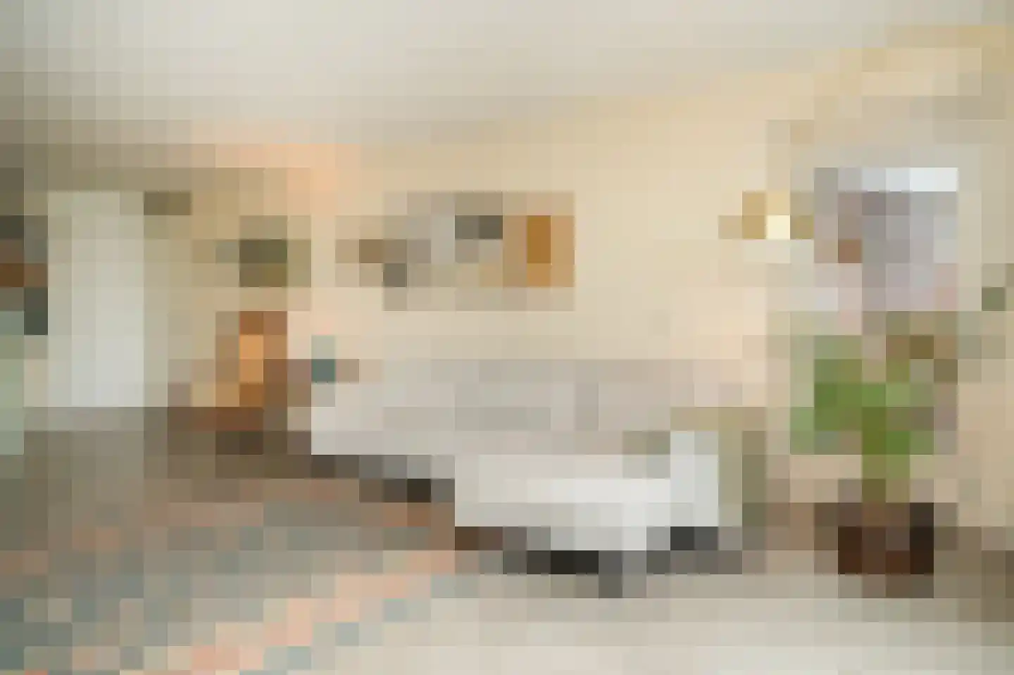 Schout van Doernestraat 12 's-Hertogenbosch thumbnail 11