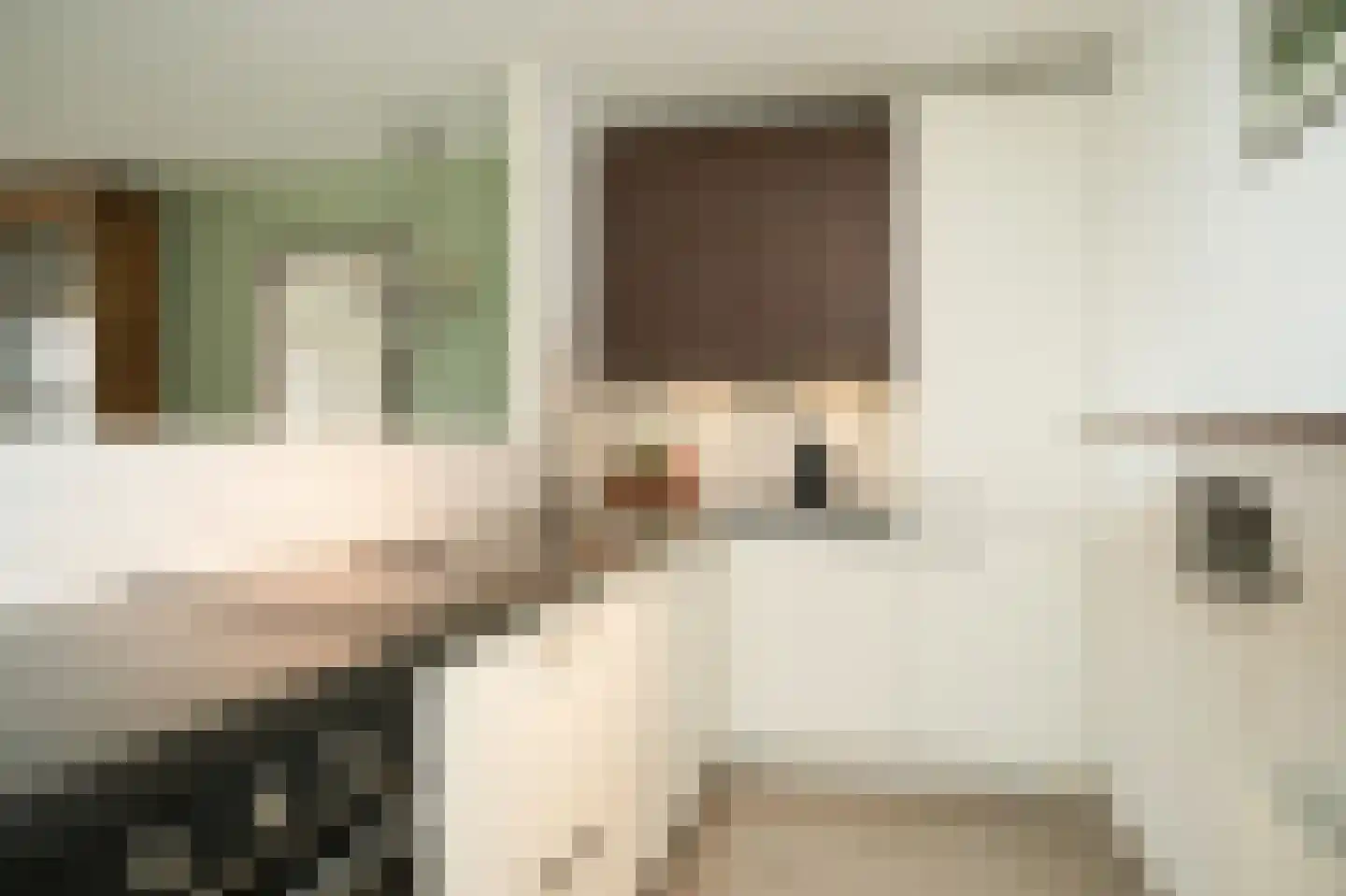 Schout van Doernestraat 12 's-Hertogenbosch thumbnail 5