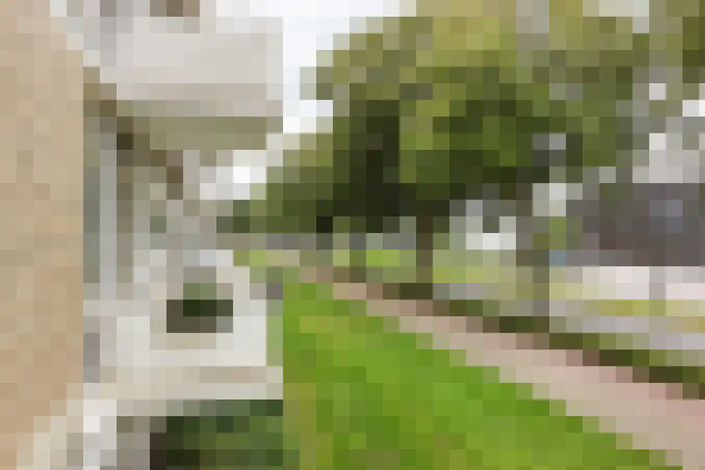 Schout Van Eijklaan 130 Leidschendam thumbnail 12