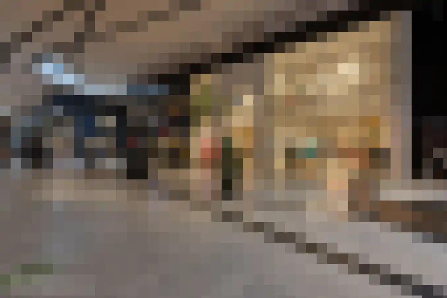 Schout Van Eijklaan 130 Leidschendam thumbnail 36