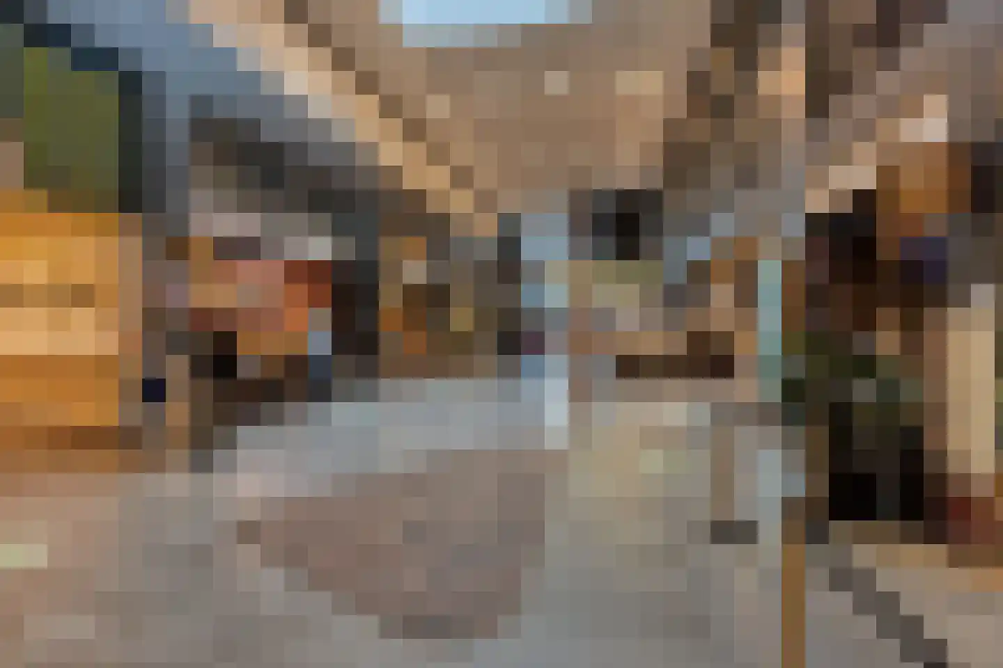 Schout Van Eijklaan 130 Leidschendam thumbnail 37
