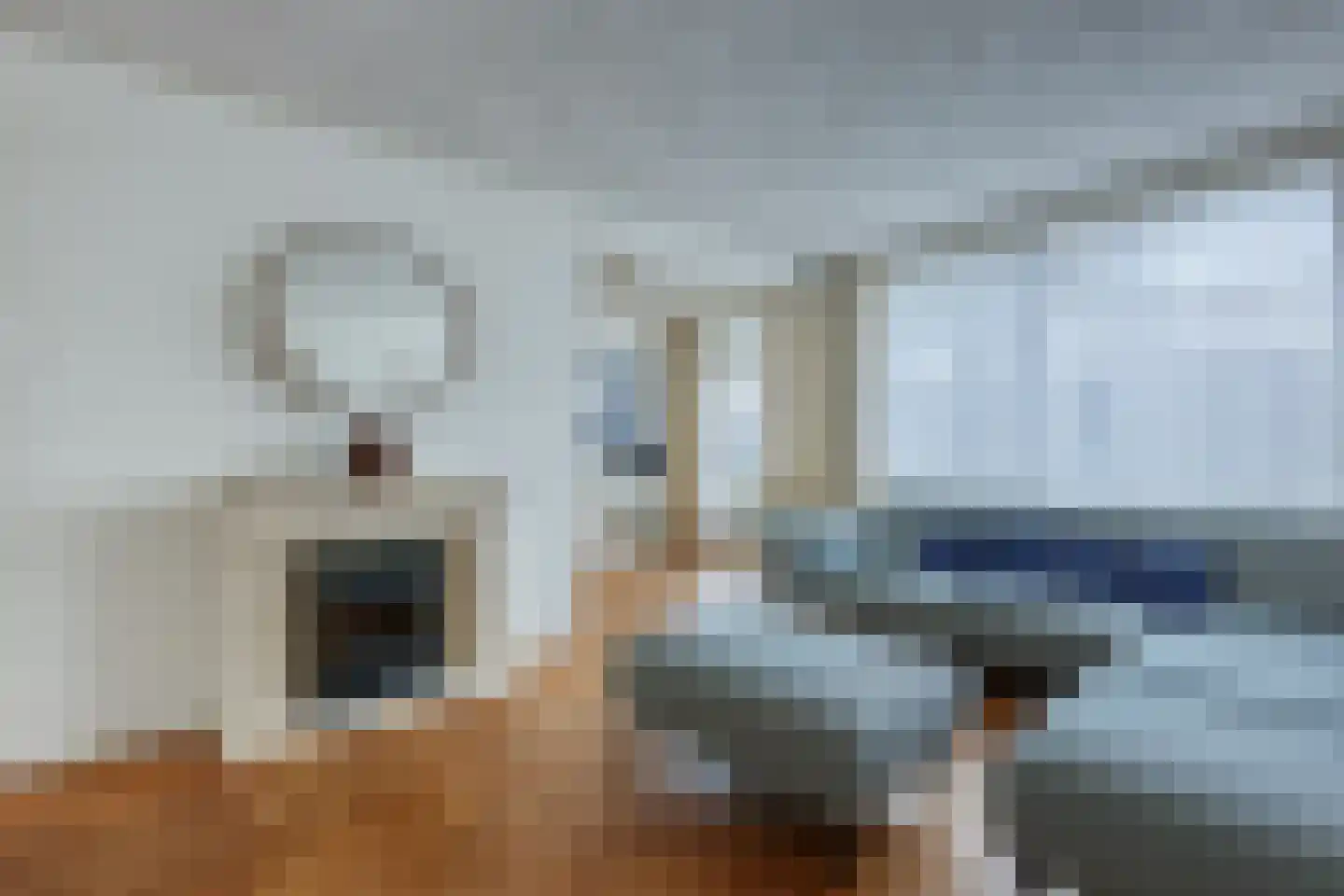 Schout Van Eijklaan 130 Leidschendam thumbnail 5