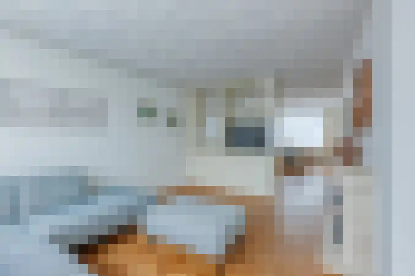 Schout Van Eijklaan 130 Leidschendam thumbnail 6