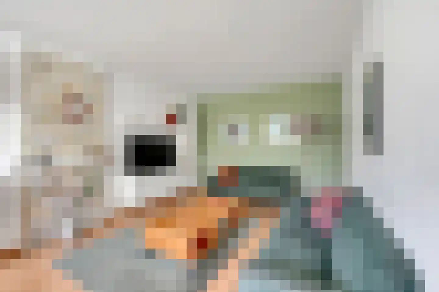 Schout Van Eijklaan 132 Leidschendam thumbnail 11