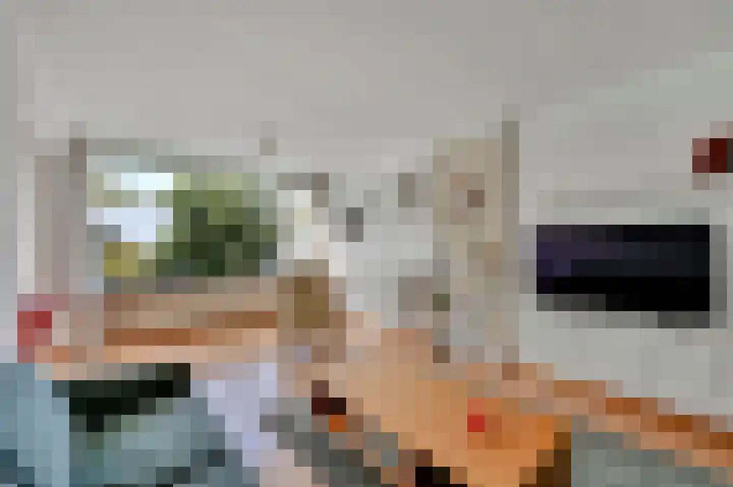 Schout Van Eijklaan 132 Leidschendam thumbnail 13