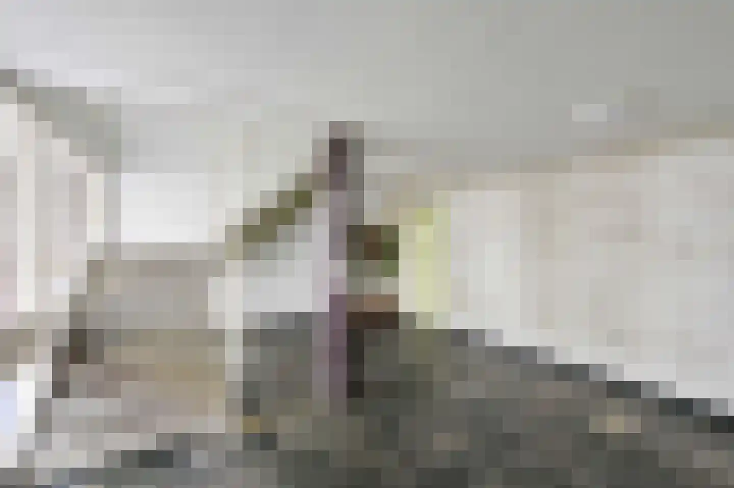 Schout Van Eijklaan 132 Leidschendam thumbnail 4