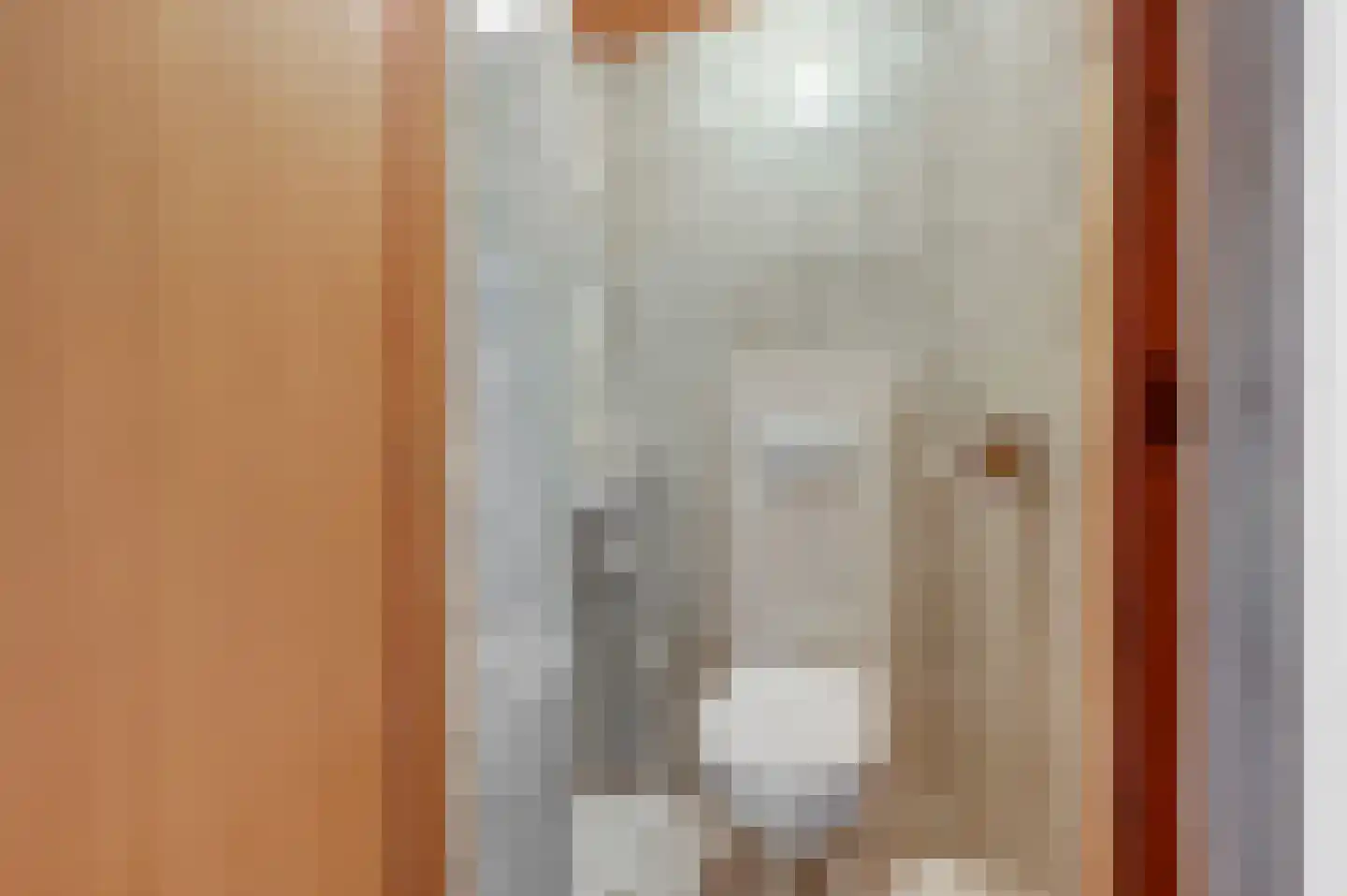 Schout Van Eijklaan 132 Leidschendam thumbnail 8