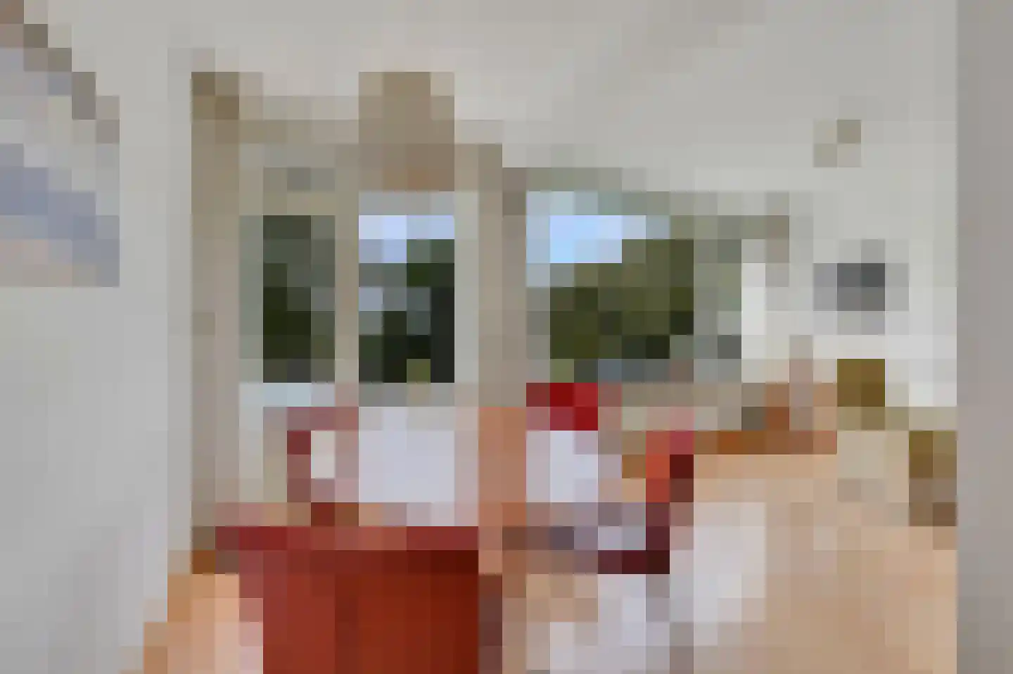 Schout Van Eijklaan 132 Leidschendam thumbnail 9