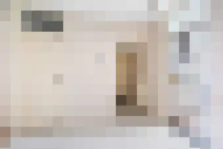 Schout Van Eijklaan 14 Leidschendam thumbnail 23