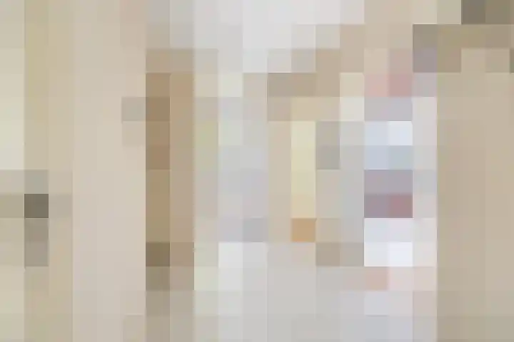 Schout Van Eijklaan 14 Leidschendam thumbnail 24