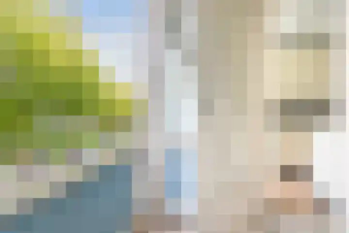 Schout Van Eijklaan 14 Leidschendam thumbnail 25