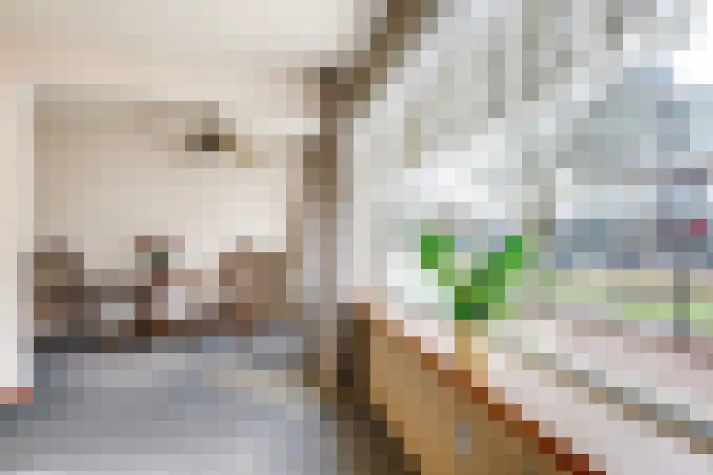 Schout Van Eijklaan 194 Leidschendam thumbnail 10