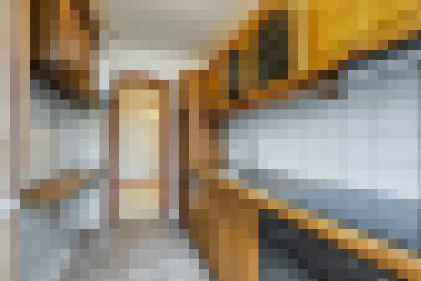 Schout Van Eijklaan 194 Leidschendam thumbnail 16