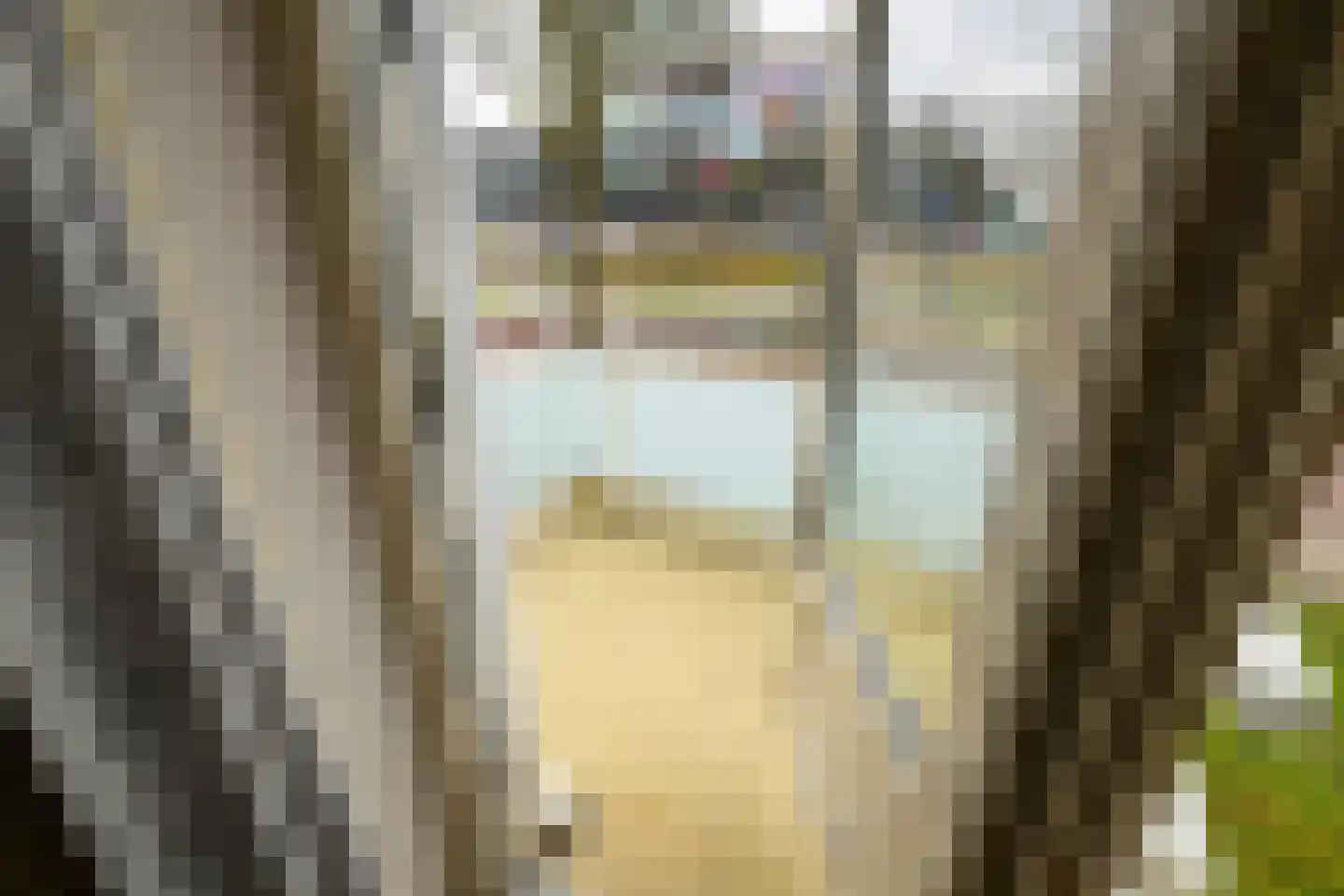 Schout Van Eijklaan 194 Leidschendam thumbnail 17