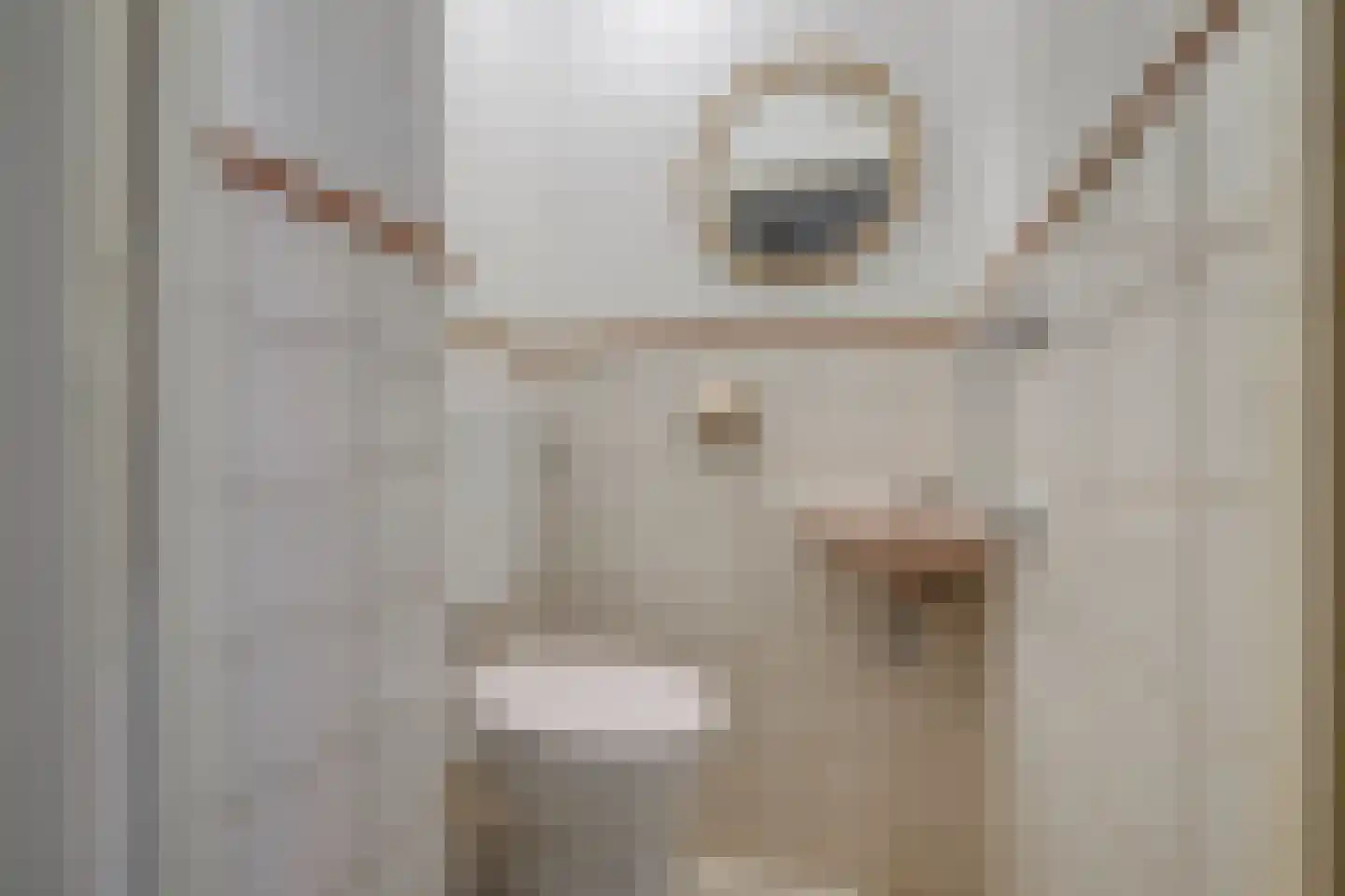 Schout Van Eijklaan 194 Leidschendam thumbnail 9