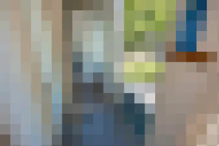 Schout Van Eijklaan 2 Leidschendam thumbnail 10
