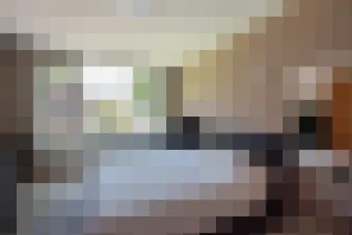 Schout Van Eijklaan 2 Leidschendam thumbnail 12