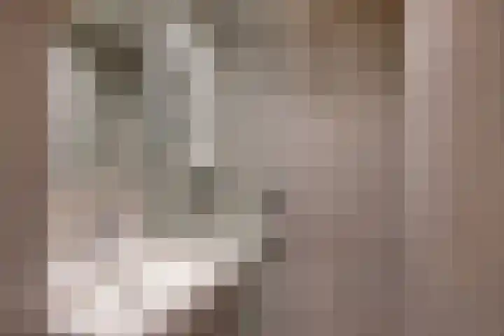 Schout Van Eijklaan 2 Leidschendam thumbnail 14
