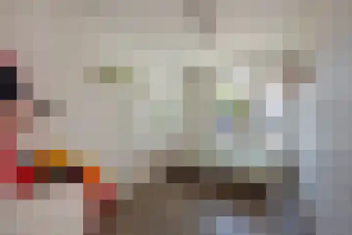 Schout Van Eijklaan 2 Leidschendam thumbnail 15