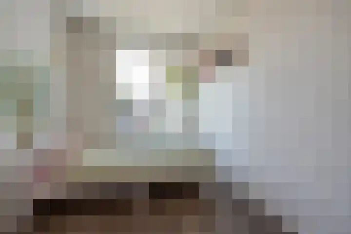 Schout Van Eijklaan 2 Leidschendam thumbnail 16